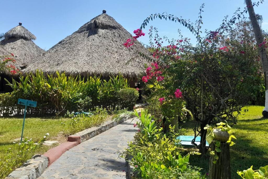 Sol Y Mar. Delfines Apartment Ixtapa  Exterior photo